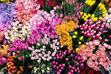 “iii计划”线上游戏展定档4月11日 多家顶尖独游工作室参与