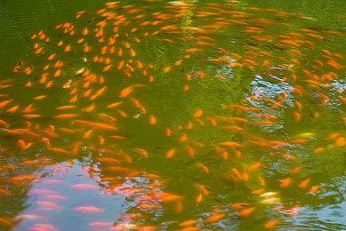 《茶杯头》DLC卖的比本体更好 销量已破百万